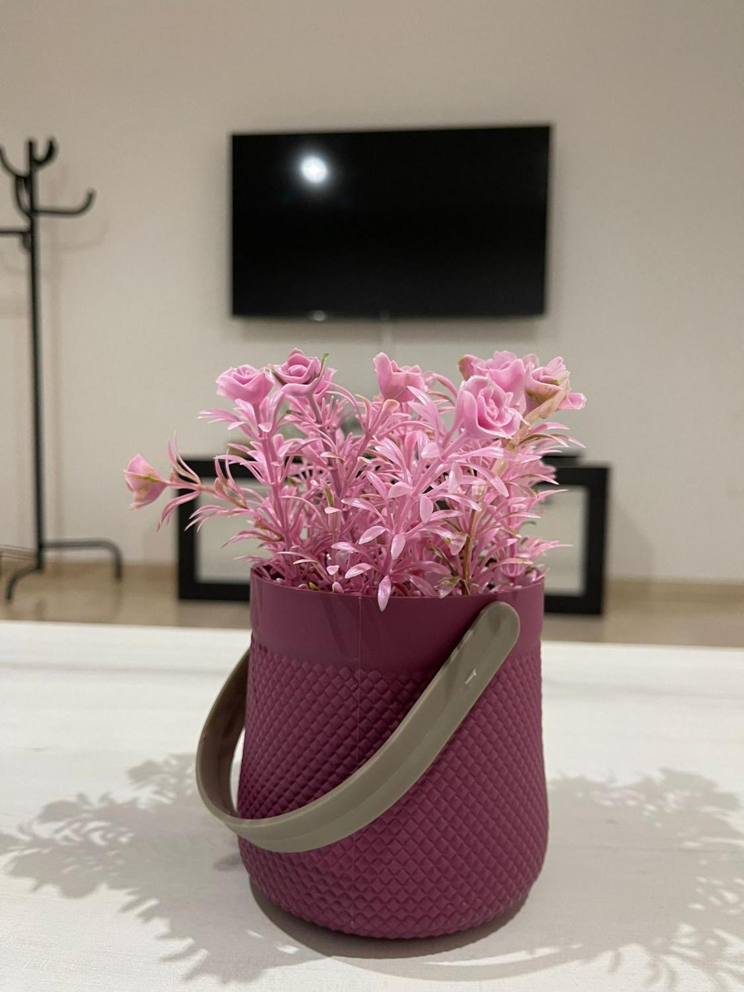 Apartamentos Cayla Sanlúcar de Barrameda Εξωτερικό φωτογραφία
